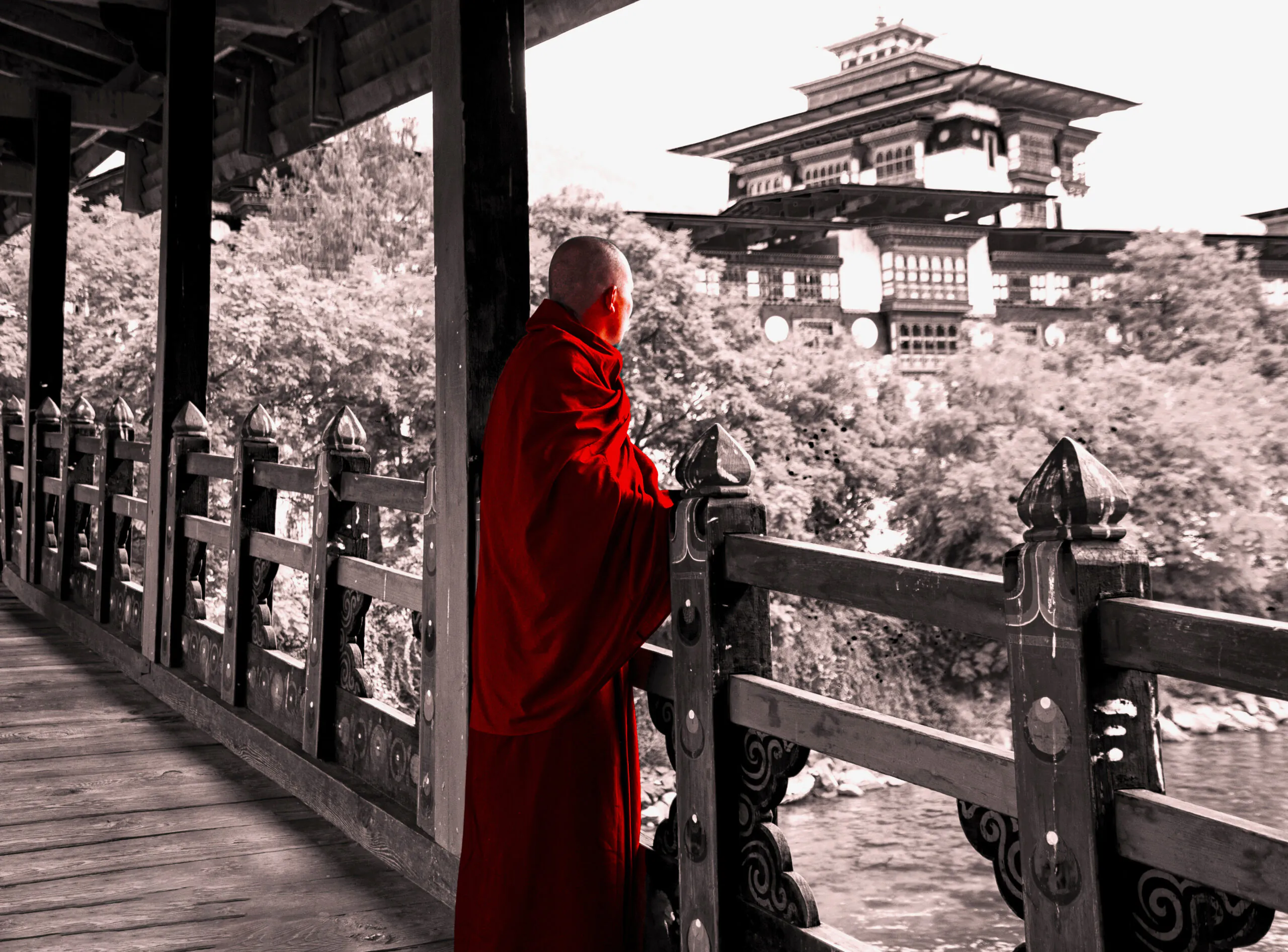 Monk and the Dzong